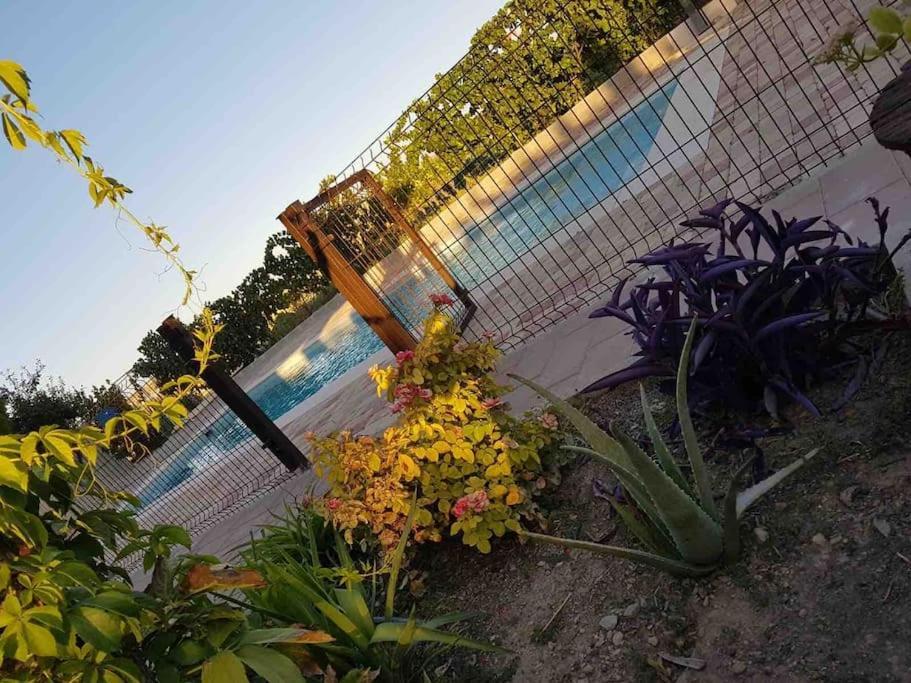Casa Rural Alma Totanés Exterior foto